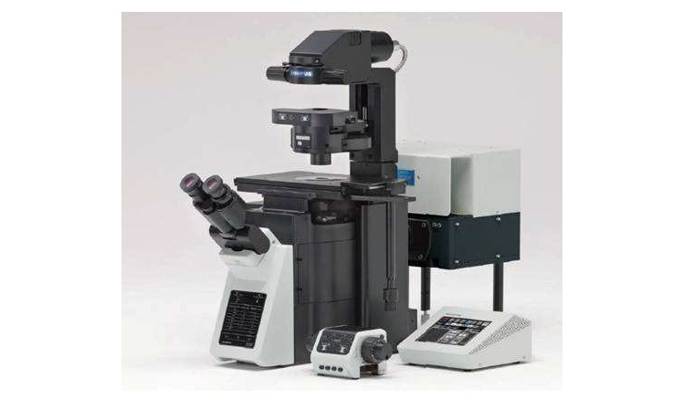 西安交通大学生命科学与技术学院激光扫描共聚焦显微镜成交公告